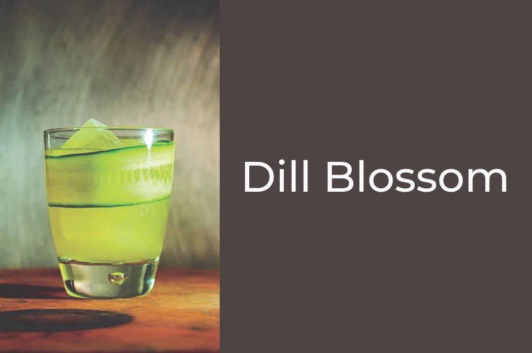 dill_blossom_michael_cecconi