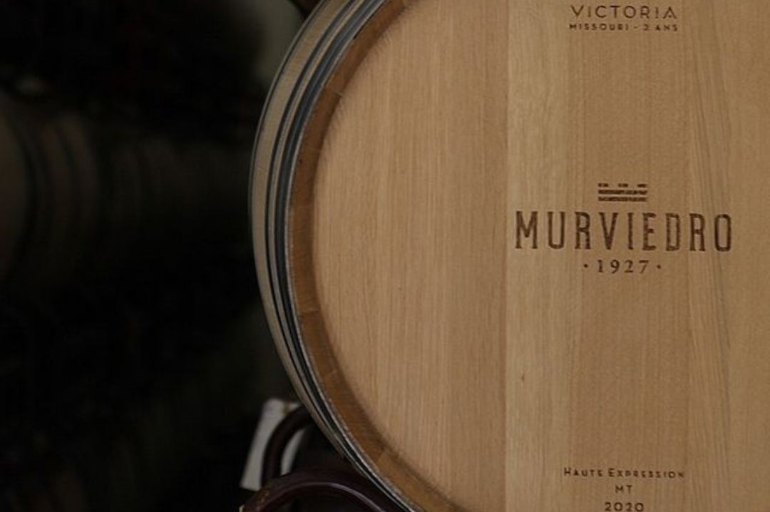 wine_barrels_bodegas_murviedro_winery