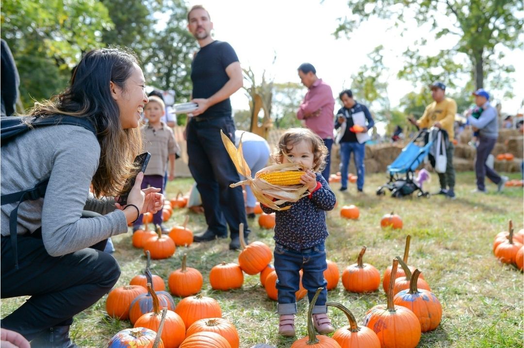 pumpkinpatch queensbotanicalgargen nychalloweenevents