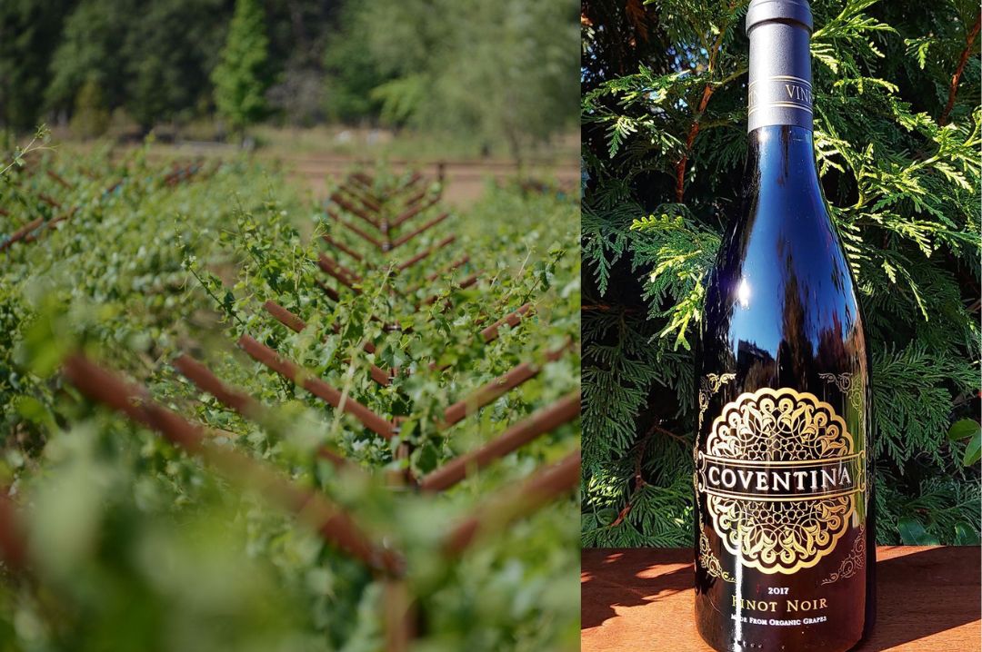 Coventina Vineyards, LLC