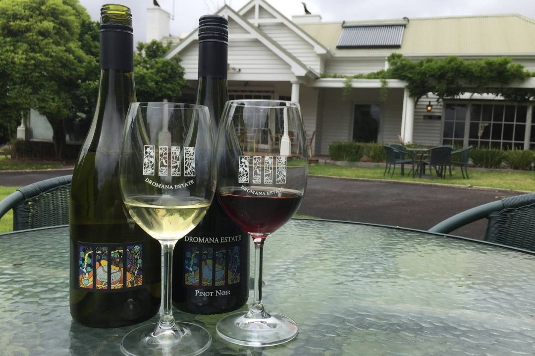 dromana_estate_pinot_noir