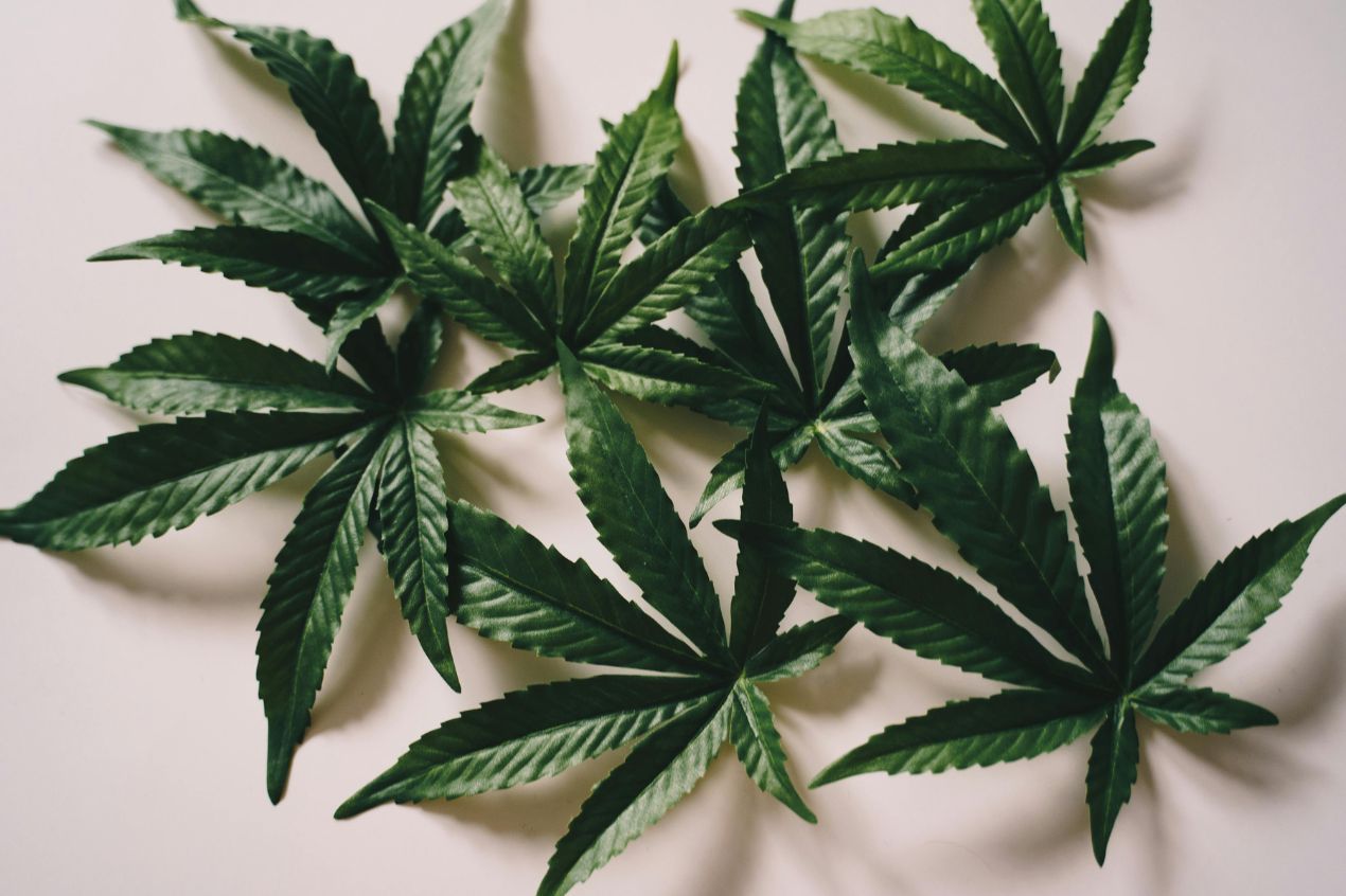 Photo for: Exploring NYC's Top THC and CBD Beverages