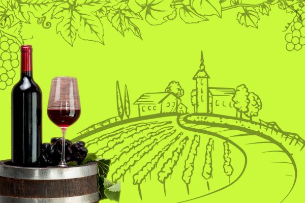 Photo for: 7 Organic & Sustainable wineries to visit